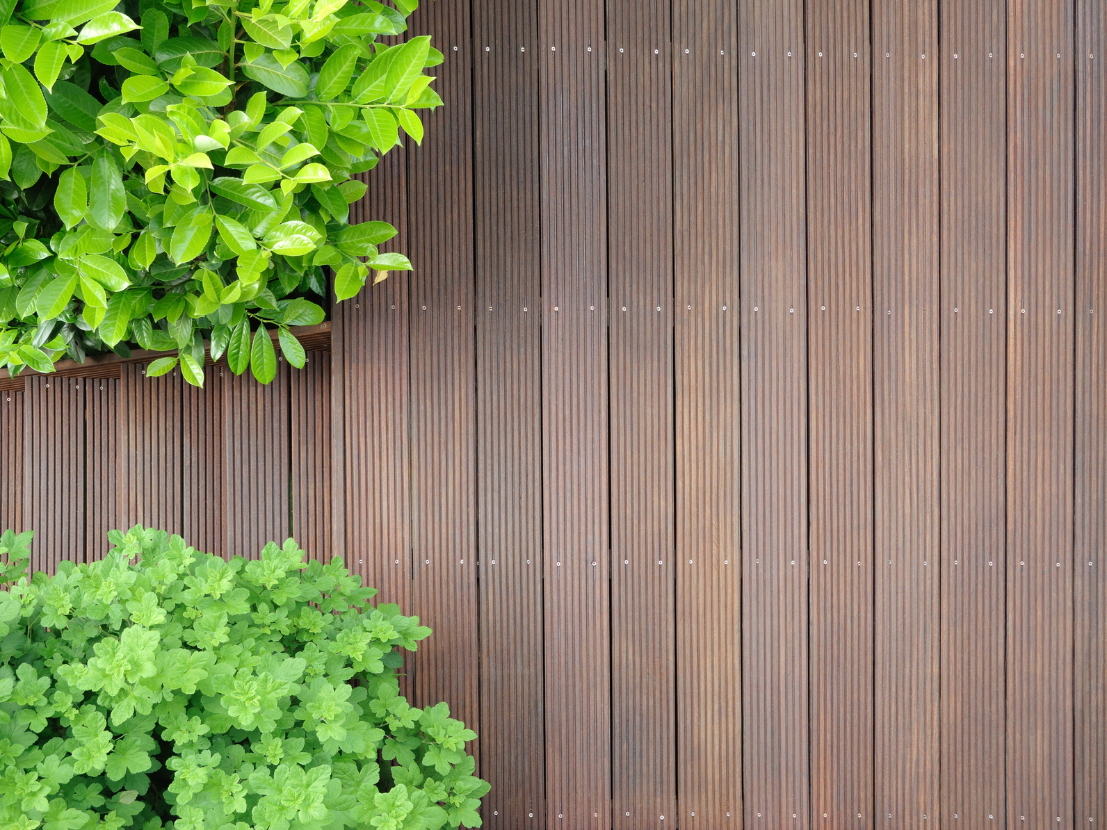 Holz für den Garten kaufen in Sinzig Bangkirai, Teak und Zeder für Terrasse und Garten