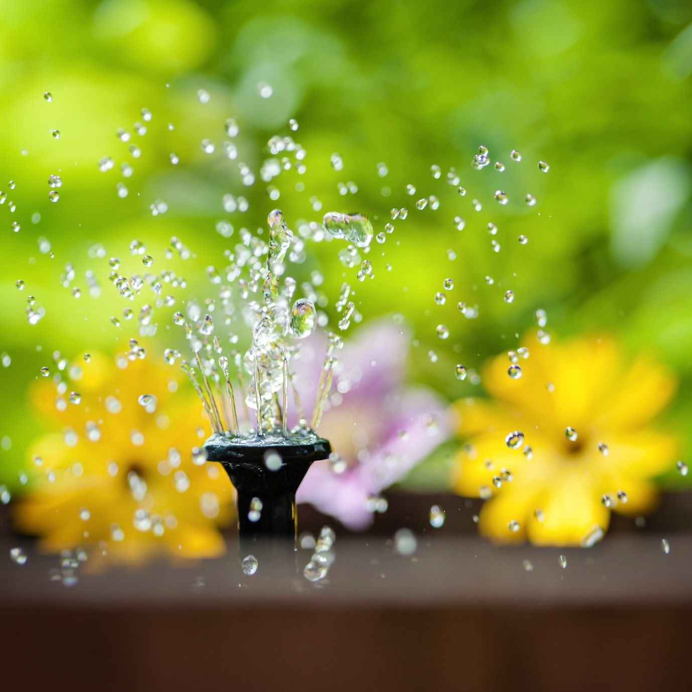 Wassertechnik & Pumpen für den Garten