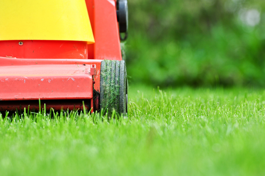Gartenmaschinen kaufen in Sinzig Rasenmäher, Kettensägen, Laubsauger aus Sinzig